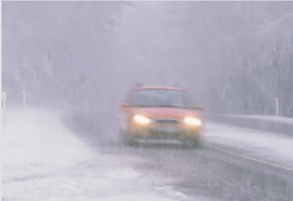 Fahren im Nebel. Foto: Auto-Reporter